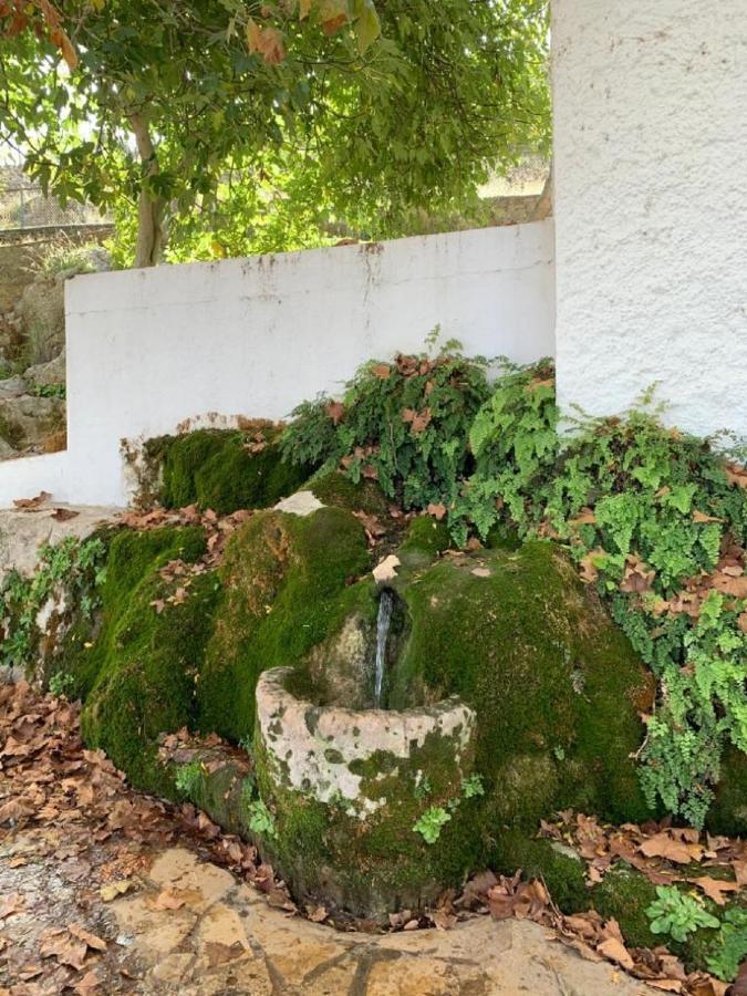Villa Remedios Cuevas del Becerro Ngoại thất bức ảnh
